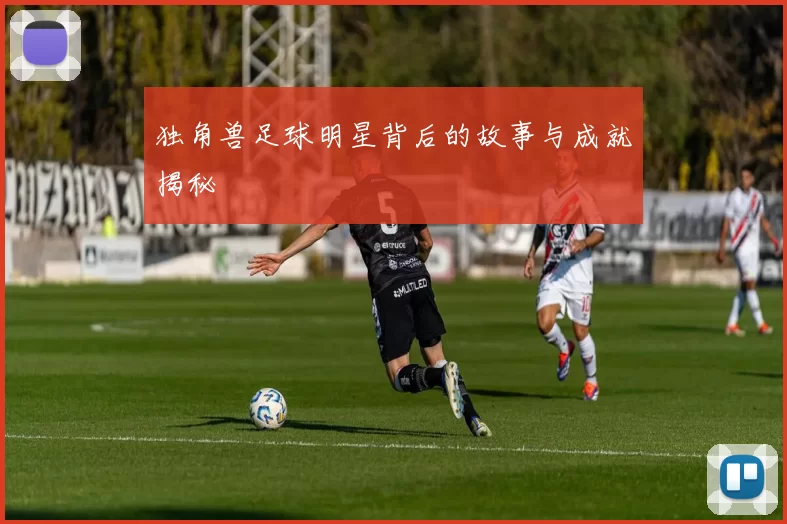 独角兽足球明星背后的故事与成就揭秘