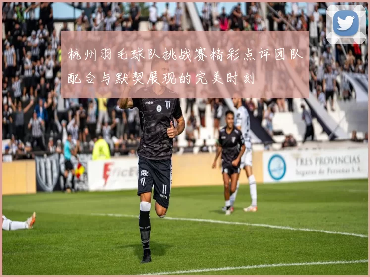 杭州羽毛球队挑战赛精彩点评团队配合与默契展现的完美时刻