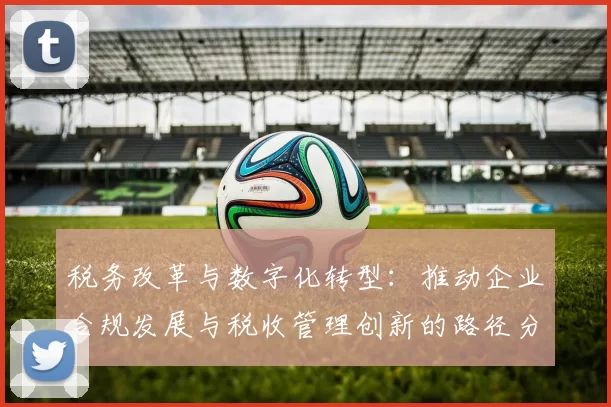 税务改革与数字化转型：推动企业合规发展与税收管理创新的路径分析