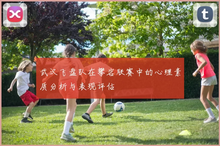 武汉飞盘队在攀岩联赛中的心理素质分析与表现评估