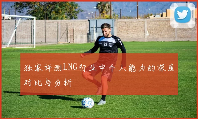 独家评测LNG行业中个人能力的深度对比与分析