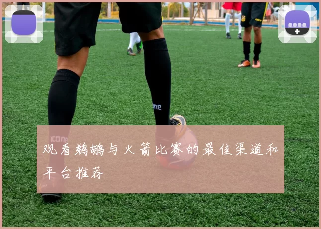 观看鹈鹕与火箭比赛的最佳渠道和平台推荐
