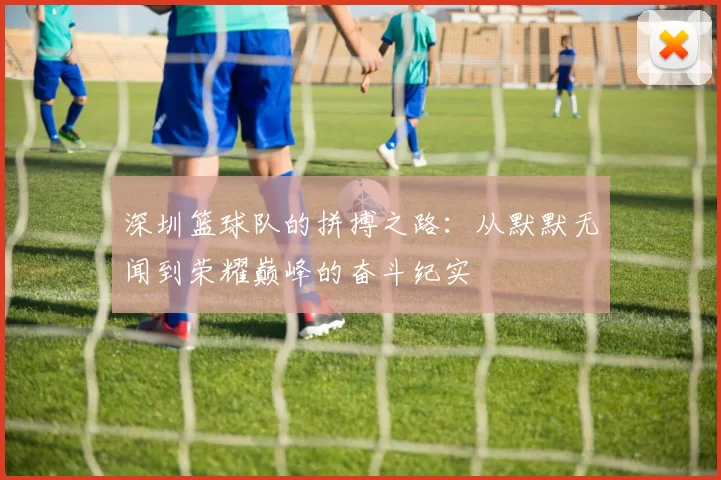 深圳篮球队的拼搏之路：从默默无闻到荣耀巅峰的奋斗纪实