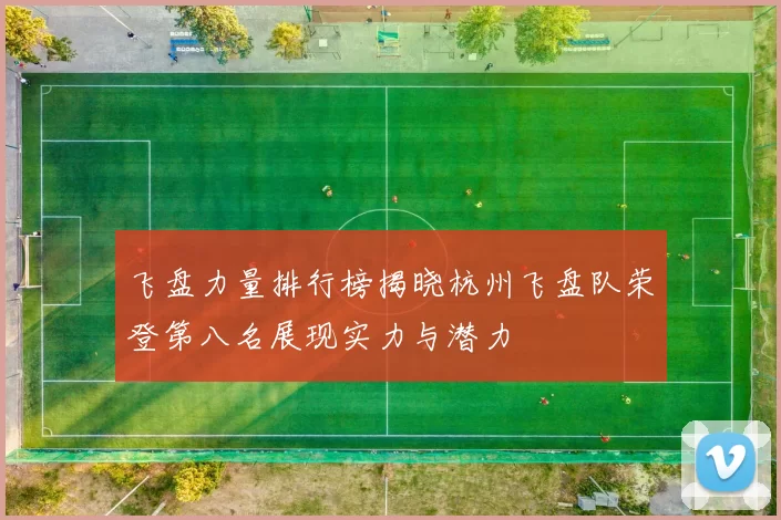 飞盘力量排行榜揭晓杭州飞盘队荣登第八名展现实力与潜力
