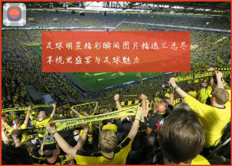 足球明星精彩瞬间图片精选汇总尽享视觉盛宴与足球魅力