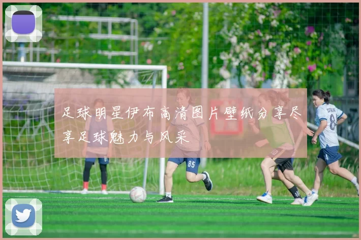 足球明星伊布高清图片壁纸分享尽享足球魅力与风采
