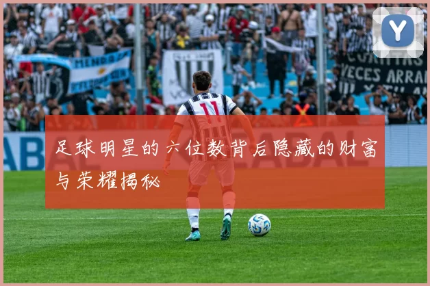 足球明星的六位数背后隐藏的财富与荣耀揭秘