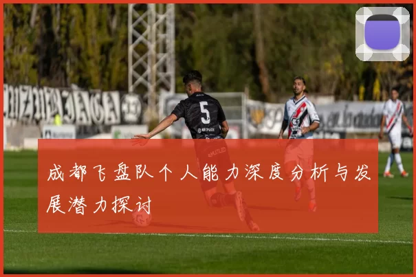 成都飞盘队个人能力深度分析与发展潜力探讨