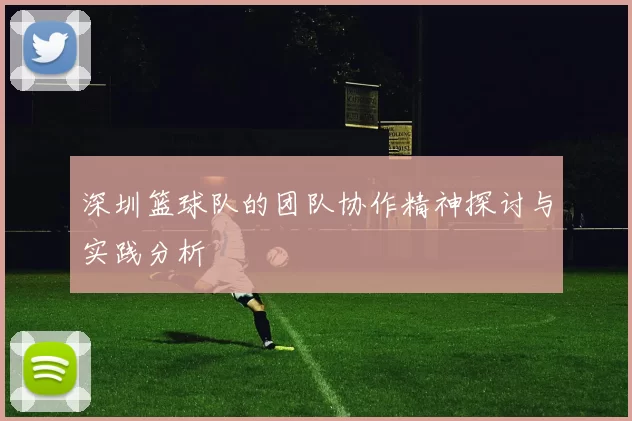 深圳篮球队的团队协作精神探讨与实践分析