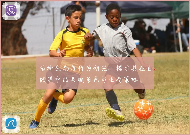 黄蜂生态与行为研究：揭示其在自然界中的关键角色与生存策略