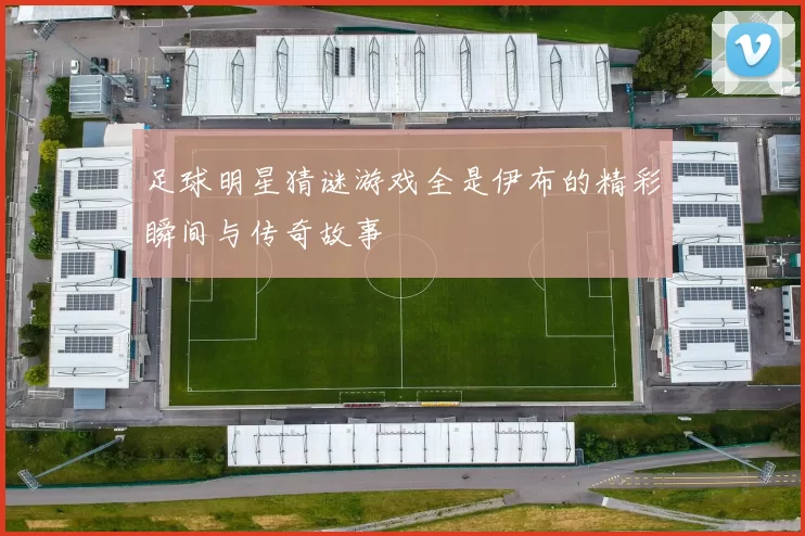 足球明星猜谜游戏全是伊布的精彩瞬间与传奇故事