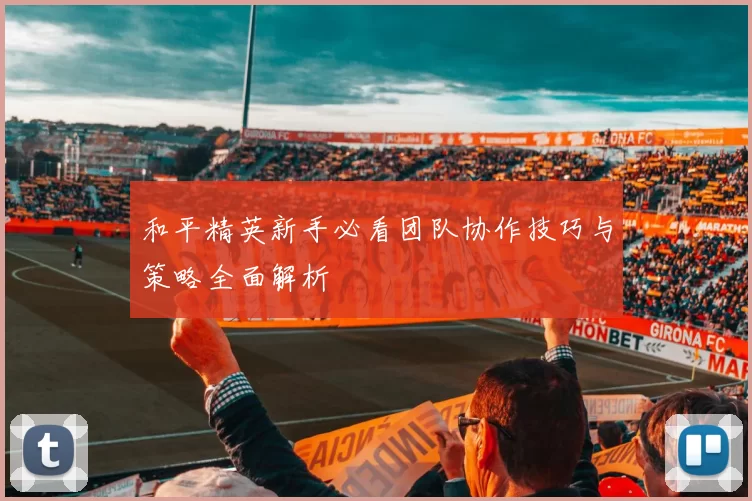 和平精英新手必看团队协作技巧与策略全面解析