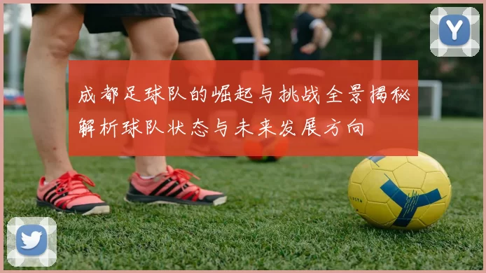 成都足球队的崛起与挑战全景揭秘解析球队状态与未来发展方向