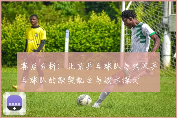 赛后分析：北京乒乓球队与武汉乒乓球队的默契配合与战术探讨