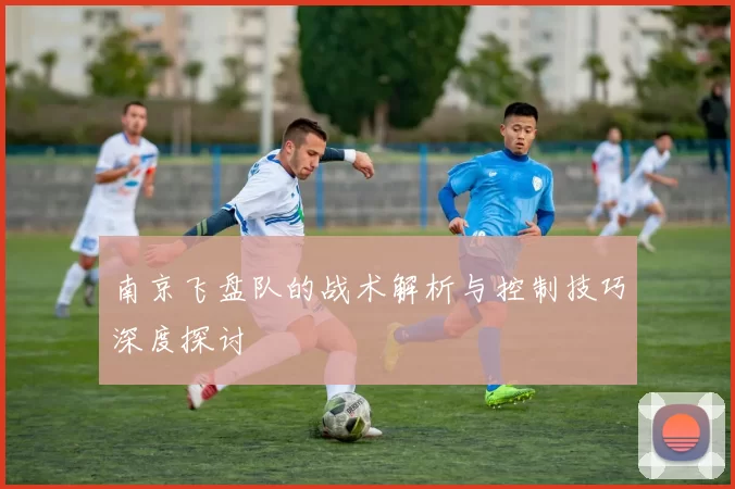 南京飞盘队的战术解析与控制技巧深度探讨