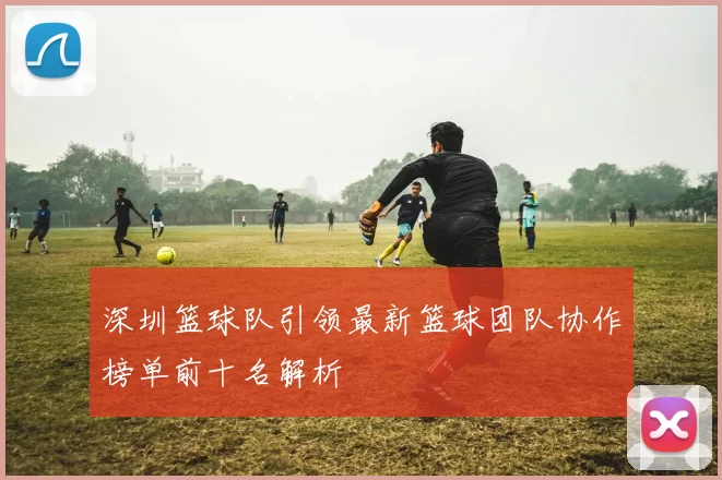 深圳篮球队引领最新篮球团队协作榜单前十名解析