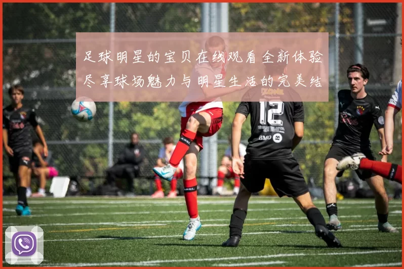 足球明星的宝贝在线观看全新体验尽享球场魅力与明星生活的完美结合